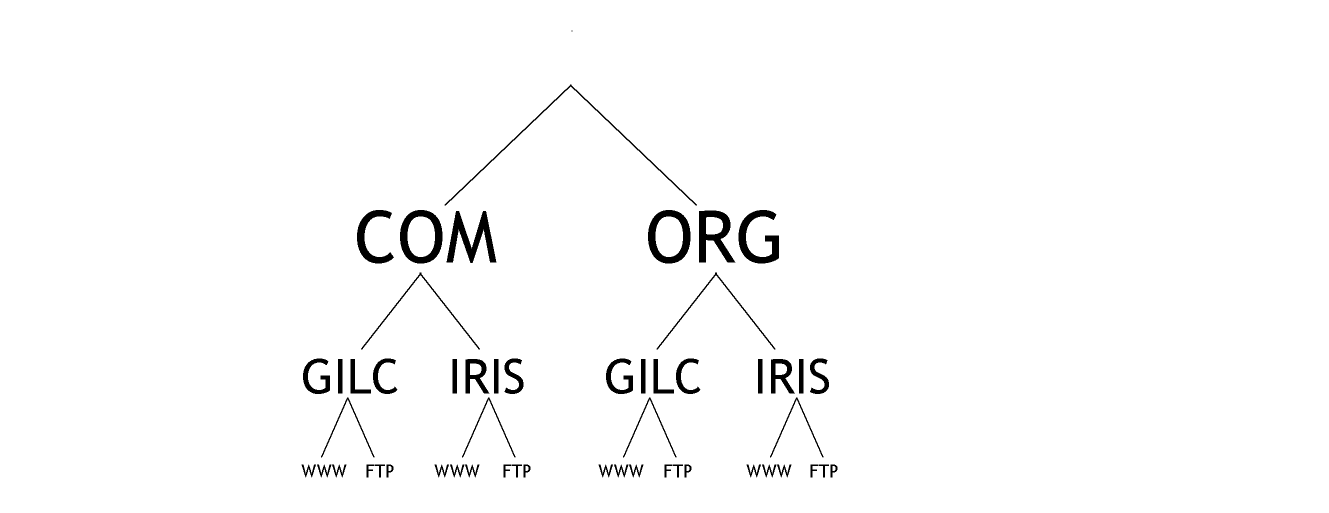 Normal structure of domain name system